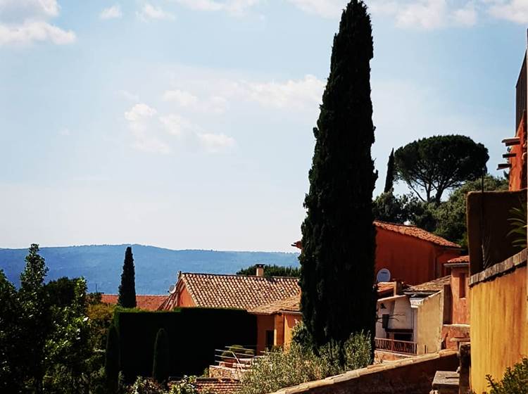 Pins_et_cyprès en Provence sur les toits de Roussillon