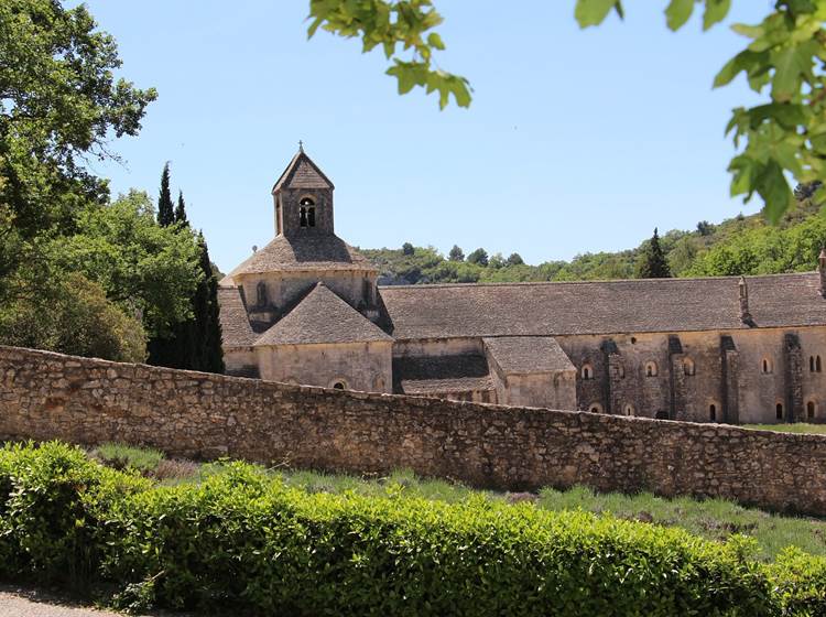 Abbaye de Sénanque