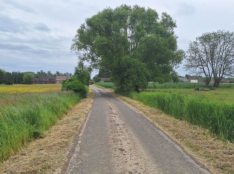 Au fil de la promenade