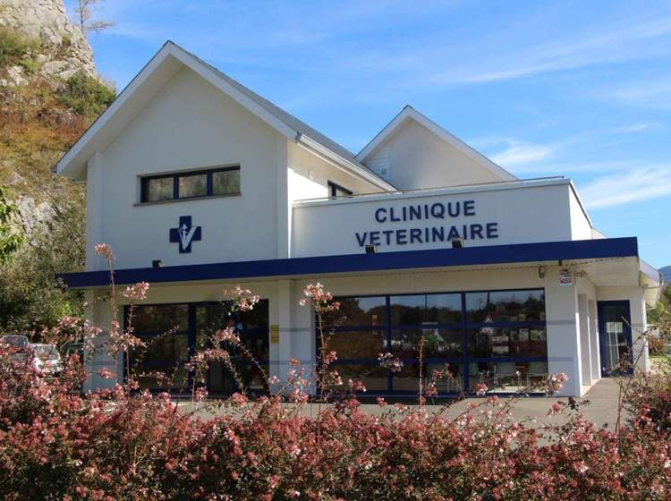 Clinique Vétérinaire du Pic du Midi d'Ossau - Arudy - Pyrénées Béarnaises