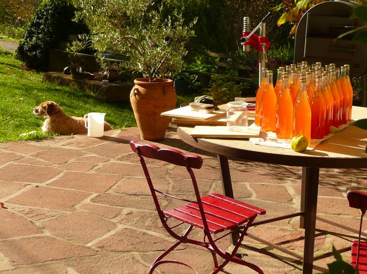 Jus de pomme bio maison