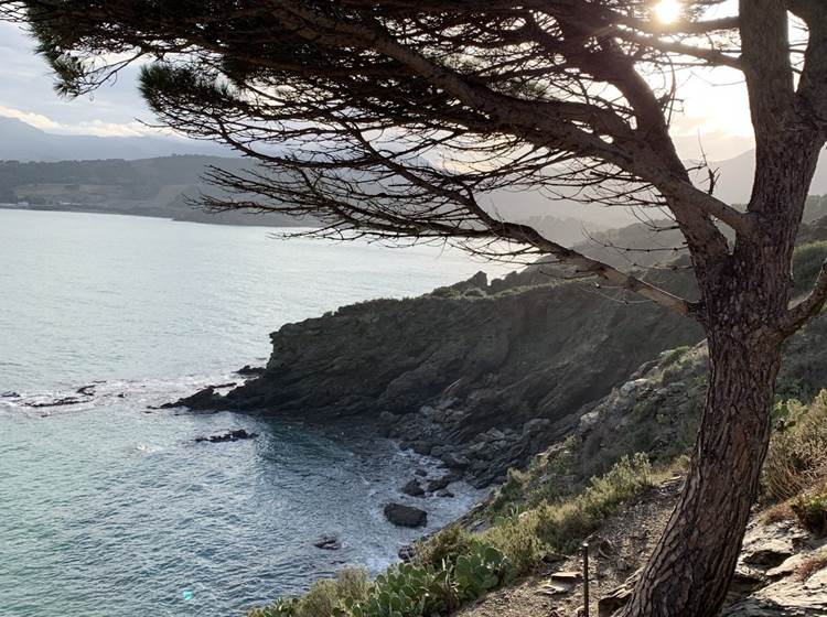 Sur le sentier du littoral