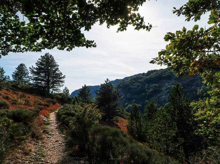 Gorges de Colombières