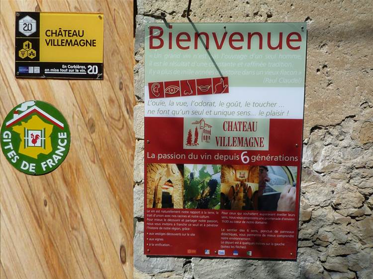 Venez découvrir nos vins et nos activités