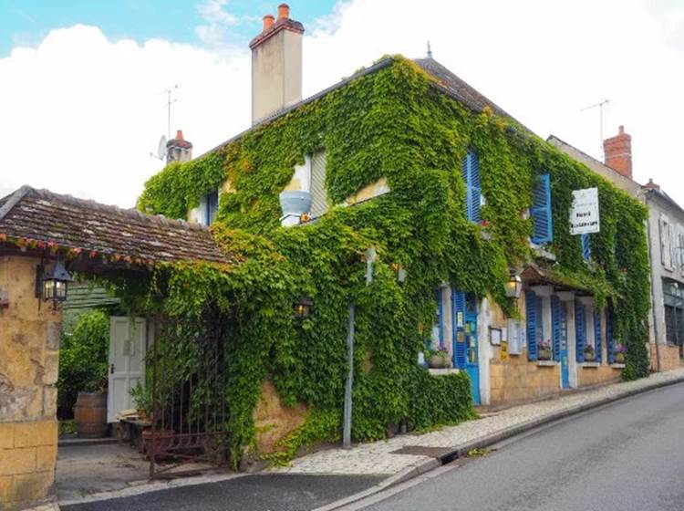 Le Laurier à Saint Satur