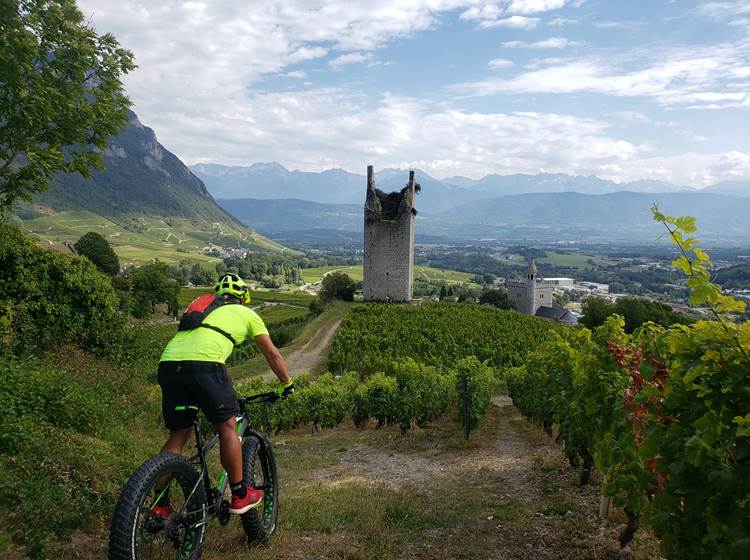 Séminaire vélo électrique et dégustation de vins de Savoie