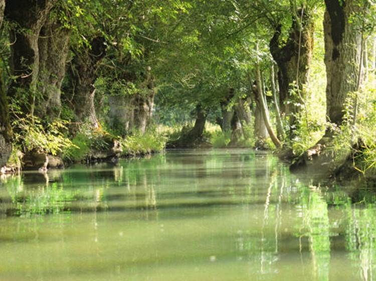Marais Poitevin-Conches-Belle demeure-séjour