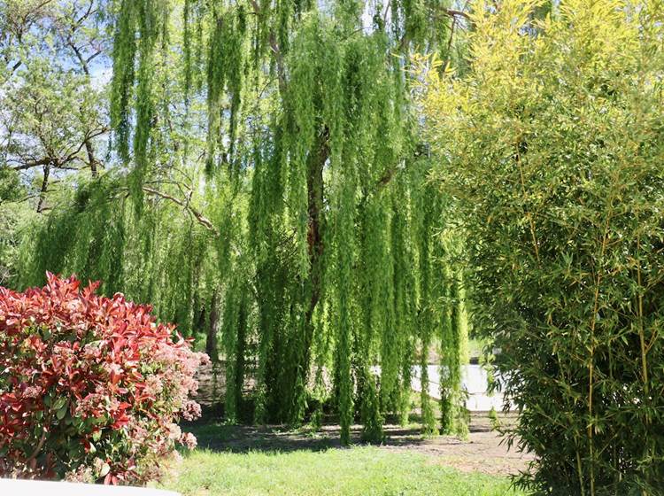 Gites Terra di a Bravona - Appartement Lena Vue sur Parc