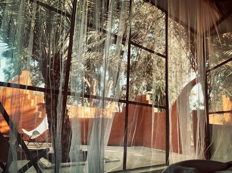 Suite Kalyptus - baie vitrée donnant sur la terrasse privée et le grand palmier