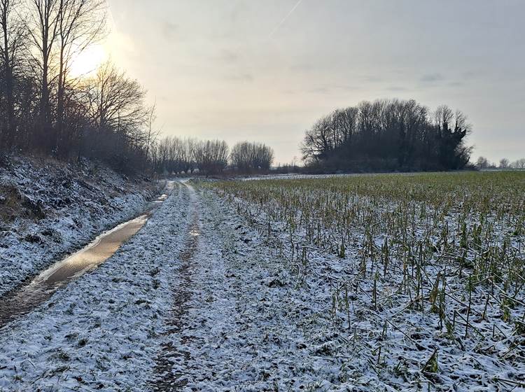 Sur le sentier du Grand pont