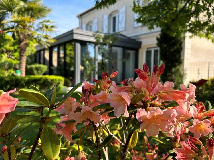 Les Suites Champenoises - Jardin