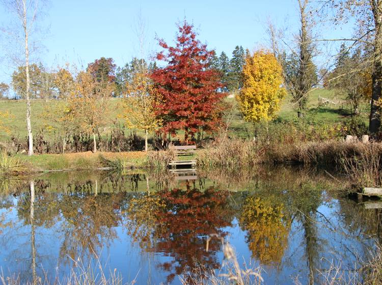 Etang, peche en no kill avec rejet a l'eau