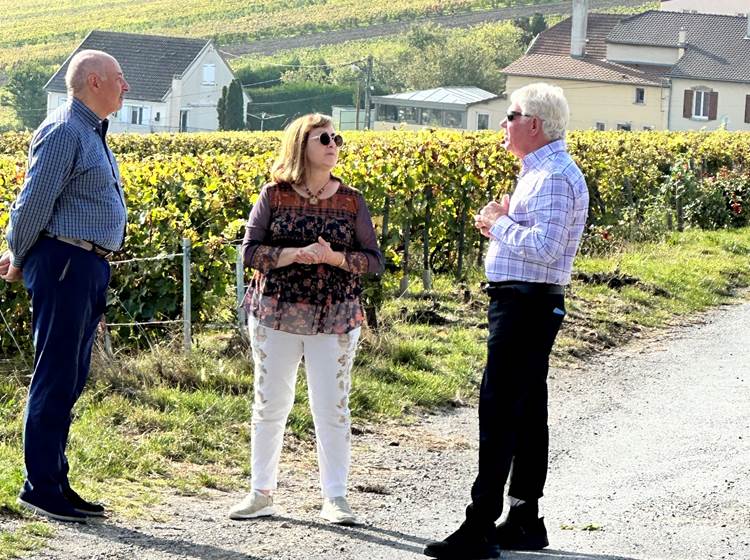 Découverte du vignoble de Champagne - Les Suites Champenoises