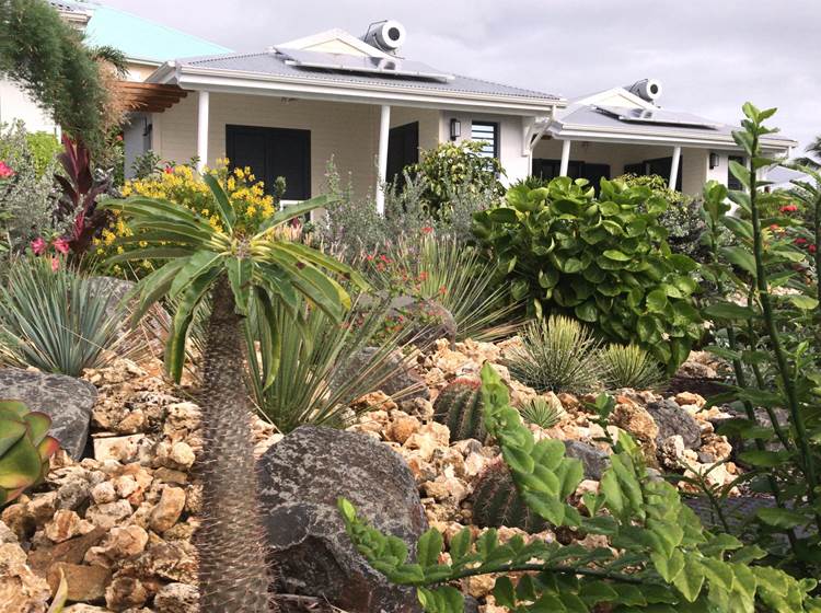 Sous ce jardin sec, la micro station d'épuration fait son œuvre et nourrit le jardin paysagé