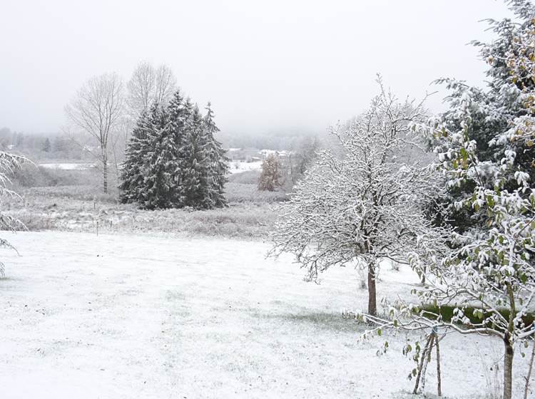 Notre champ sous la neige