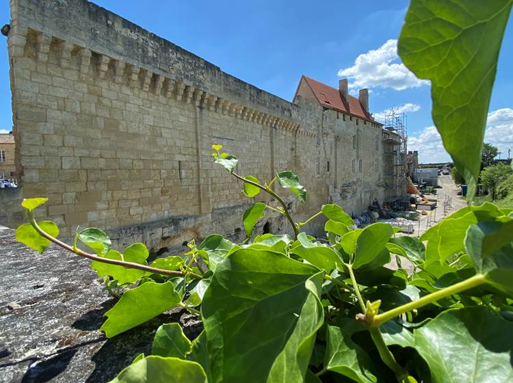 Remparts-Saint-Emilion-vin-vignoble-Bordelais