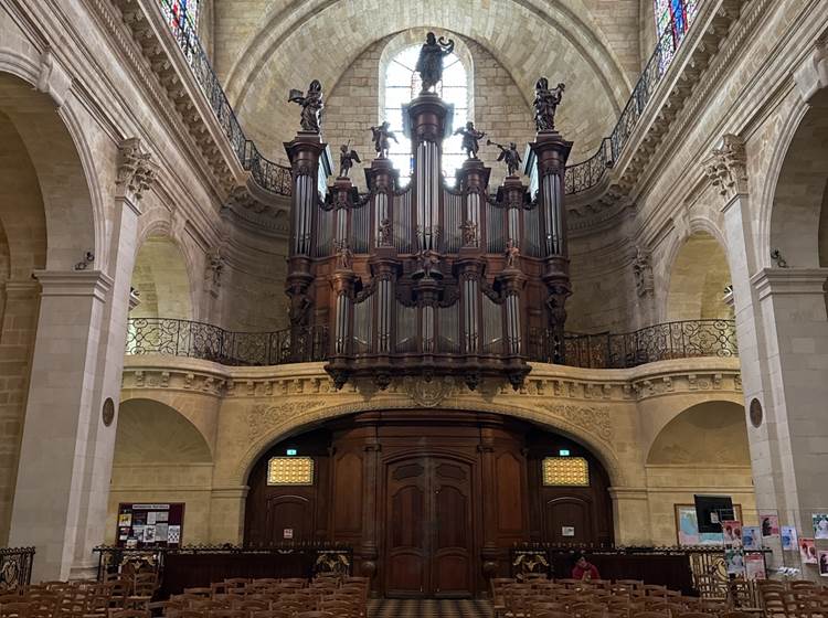 Nid Cosy Bordeaux - Orgue Cathédrale St André