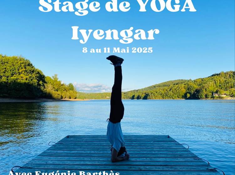 Iyengar Yoga avec Eugénie