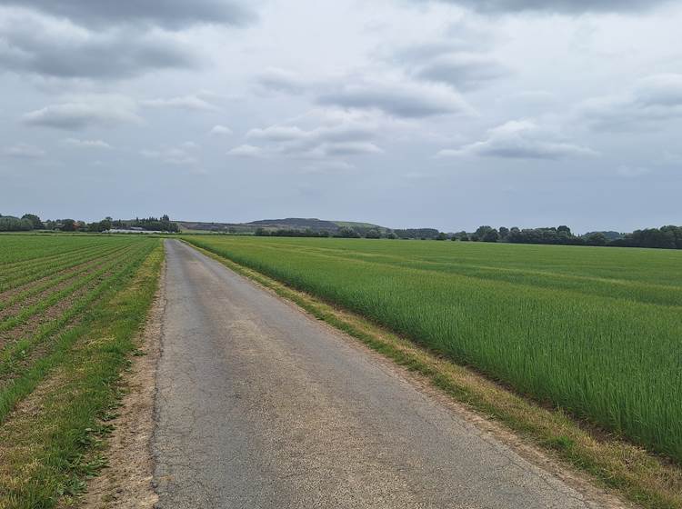 Au fil de la promenade