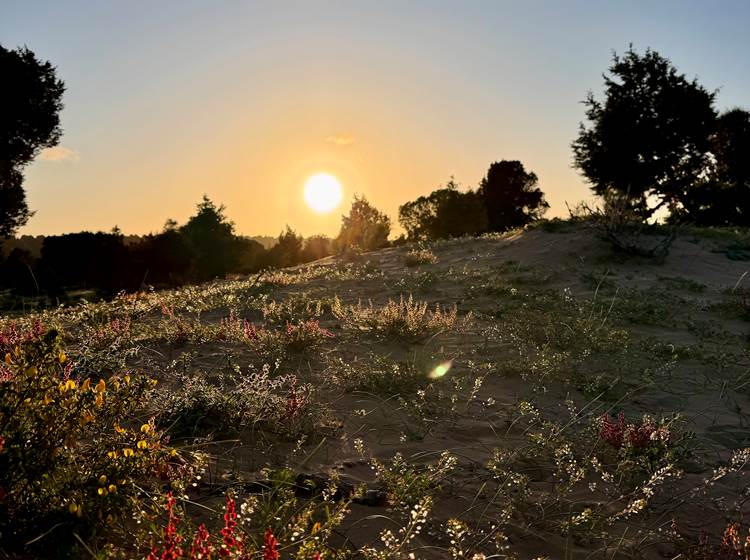 nature walks essaouira