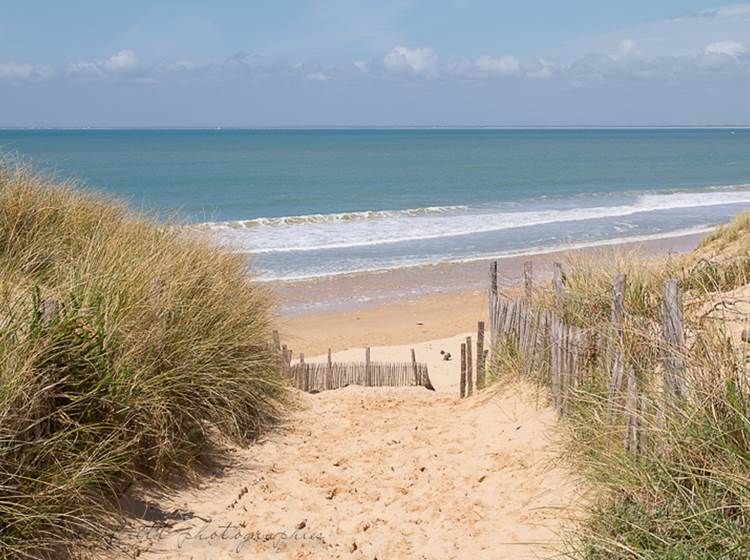 Plage île de ré