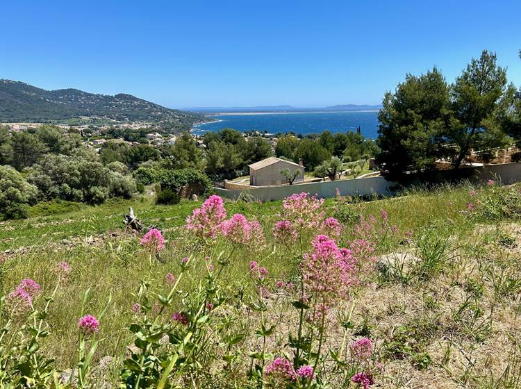 Vue depuis la terrasse