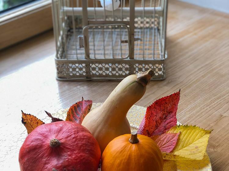 saison automnale à la demeure du Porzou