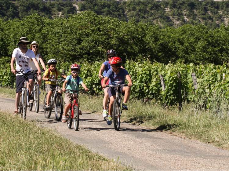 velo-vignes-tarn-marssac-albi-16 bis-gite-hotel