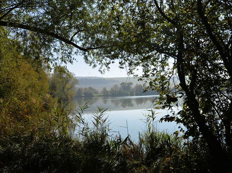 Gite La Mélinothe à Paisy-Cosdon - Aube en Champagne - L'étang de Villemaur-sur-Vanne