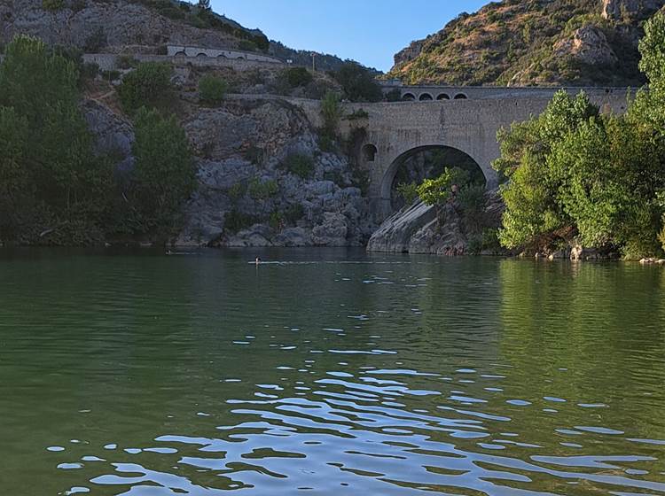 Les Gorges de l'Hérault