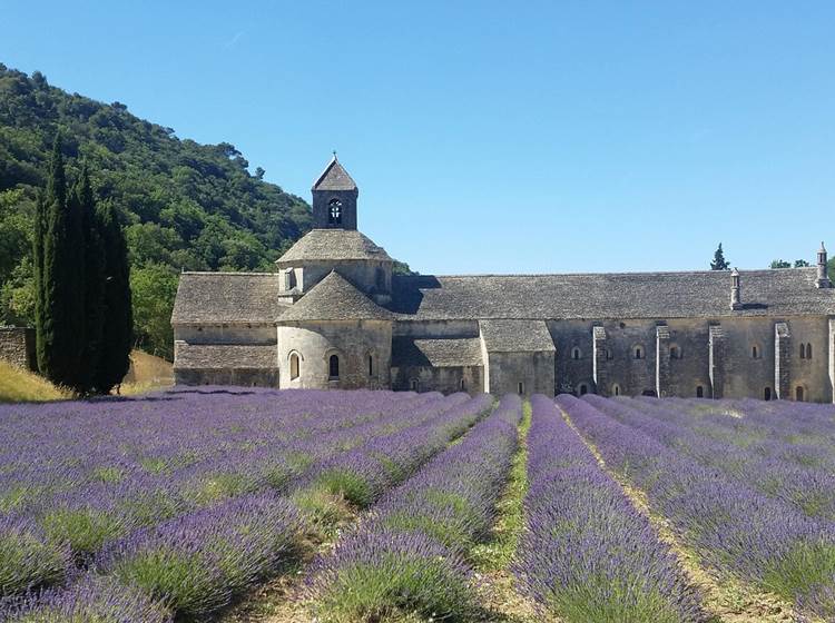 Abbaye de Sénanque