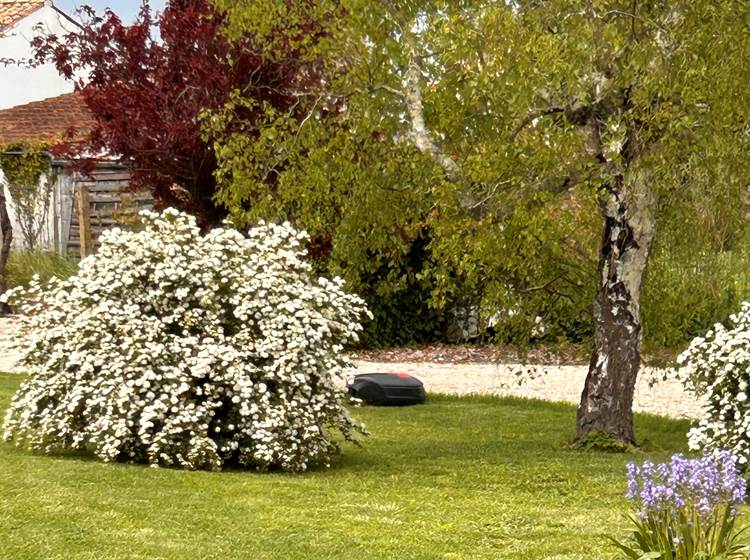 Vue du jardin de Maison Ginette