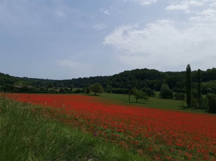 Dordogne -
