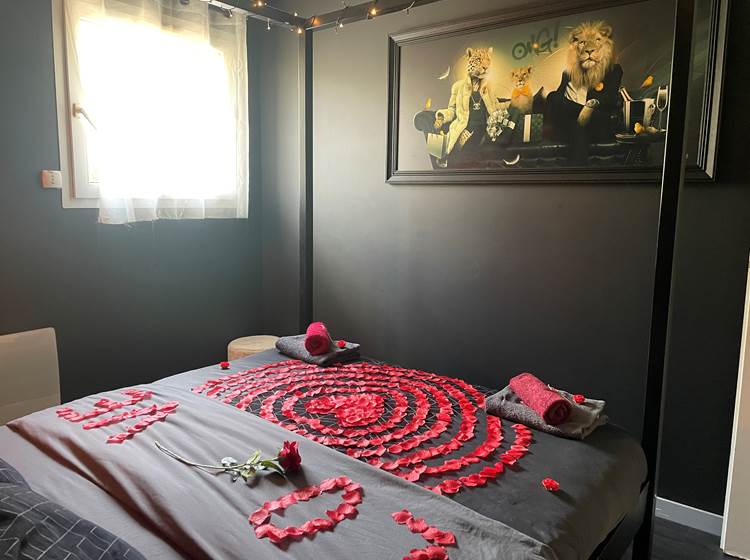 Chambre avec lit baldaquin 160*200