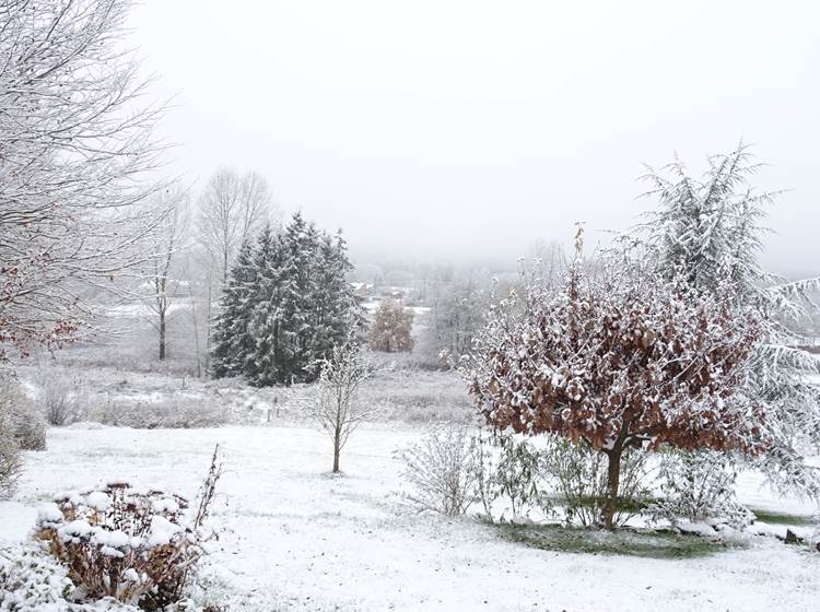 Neige sur le jardin du gîte 1