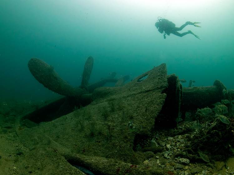 Plongée sous-marine - île d'Oléron