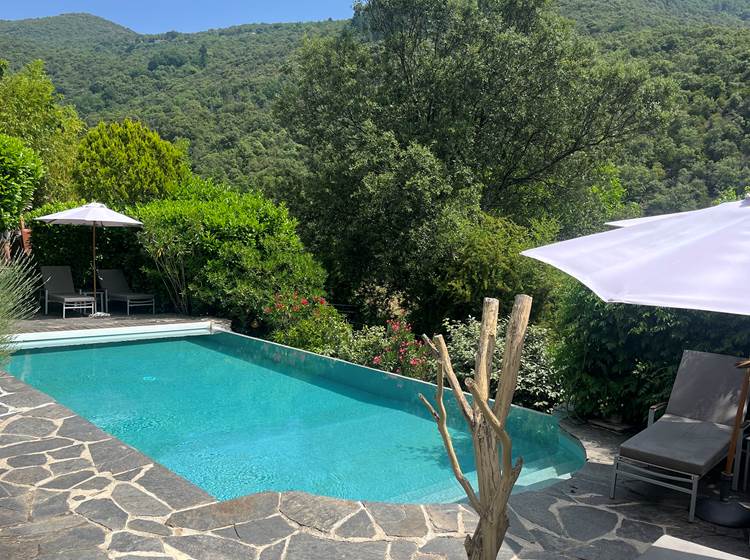 Vue piscine printemps été