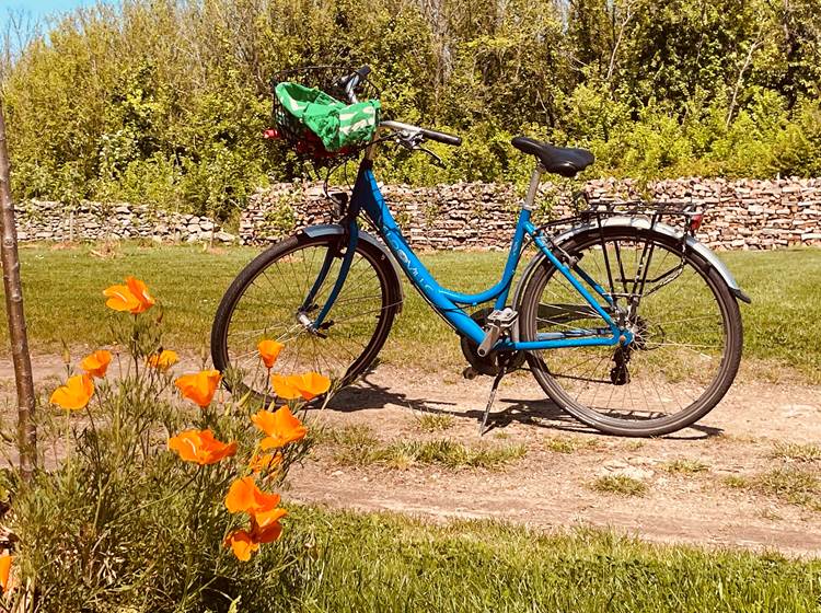 Balade en vélo