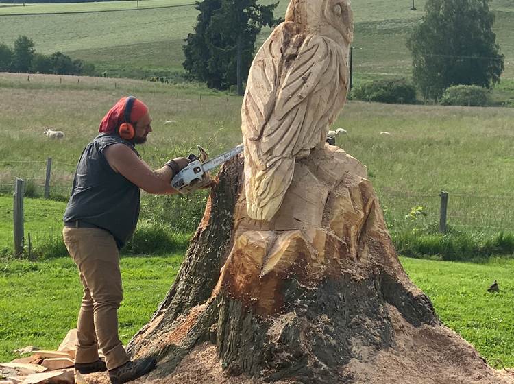 Les terres de la chouette, c'est le bois qui décide des lignes de la sculpture