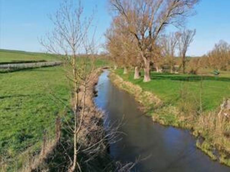 L'Escaut, la rivière à 2 kms