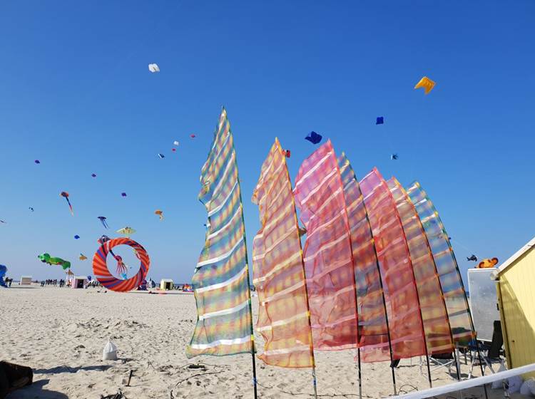 Boulogne et ses environs, Berck...