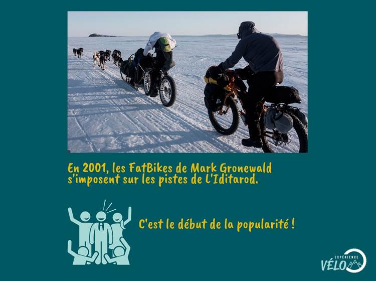 Victoire en fatbike à l'Iditarod