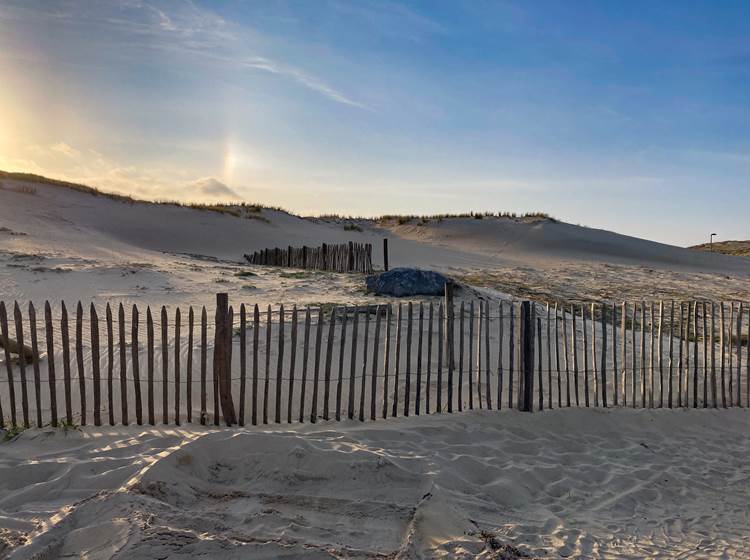 Dunes Seignosse Le Penon