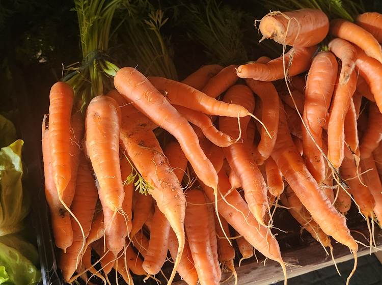 Au marché Limousin - Carottes