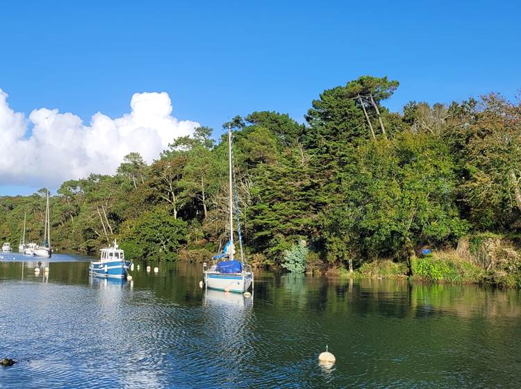 Port de Brigneau-page