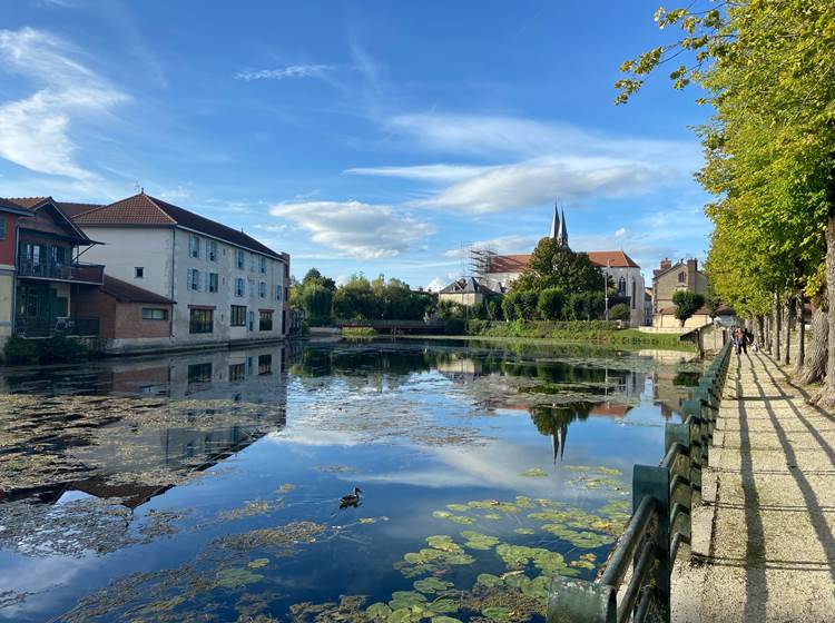 Bar-sur-Aube- dans-la-Côte-des-Bar