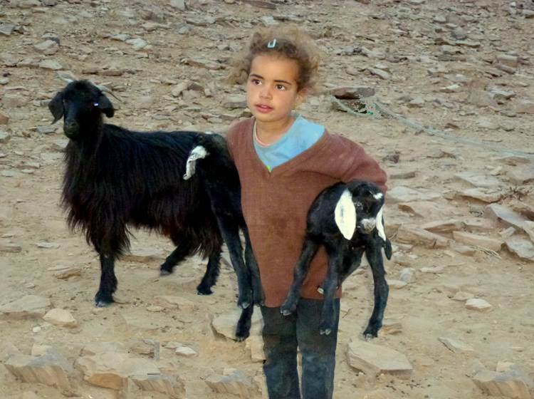 Petite fille nomade avec ses chèvres