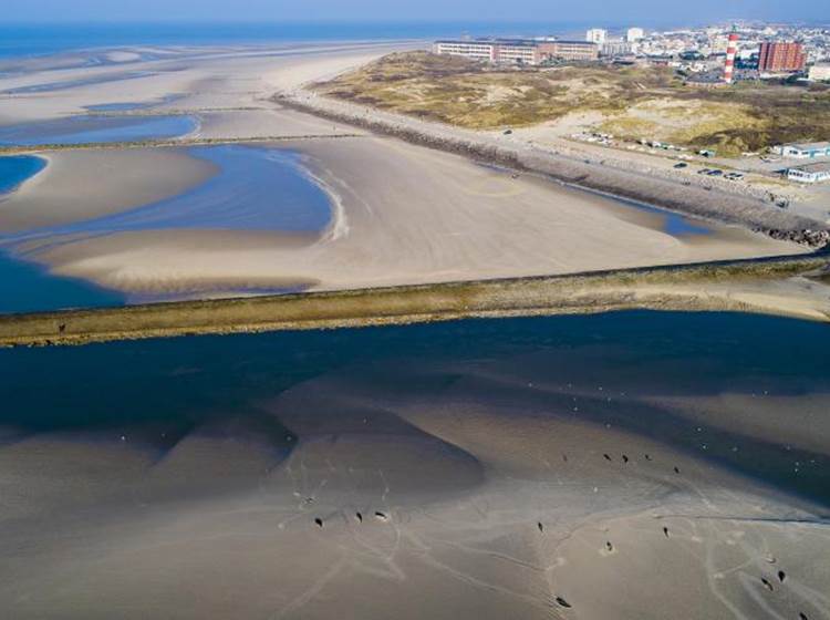 Locations de velos electriques Berck-plage - Baie d'Authie