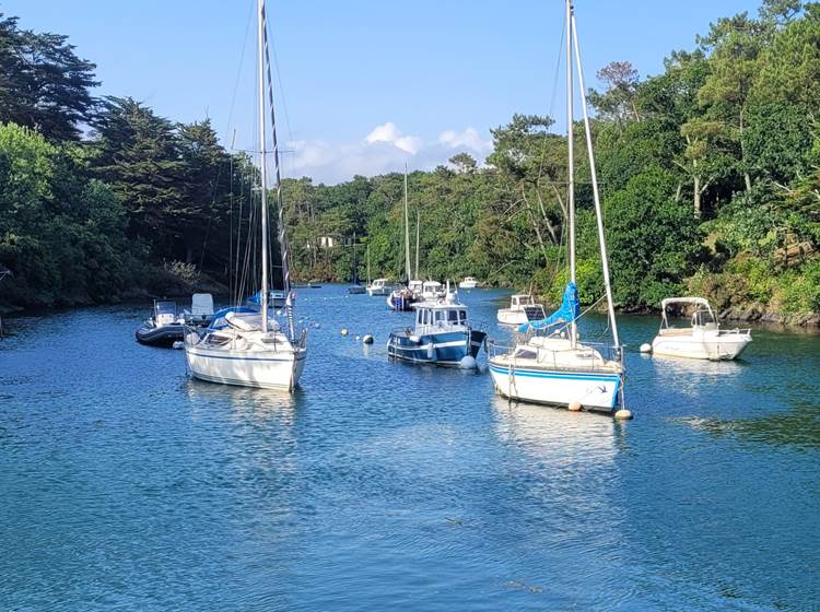 Port de Brigneau-page