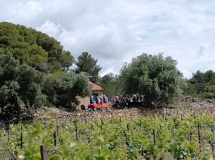 Dégustation au coeur des vignes du Domaine La Tasque